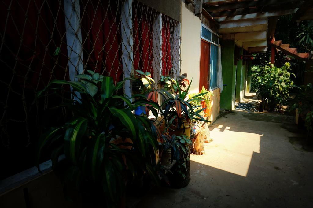Villa Hermosa de Tambopata Casa Hospedaje&Hostel Puerto Maldonado Exterior foto